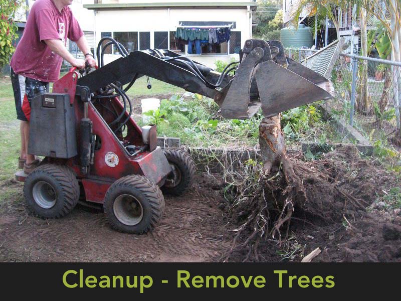 Dingo Mini Digger in action - Removing small trees and bushes