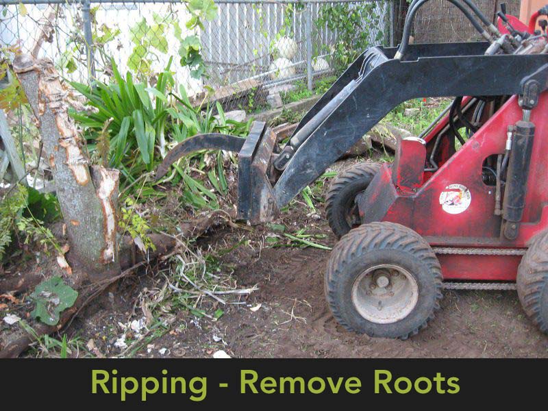 Dingo Mini Digger in action - Ripping out roots
